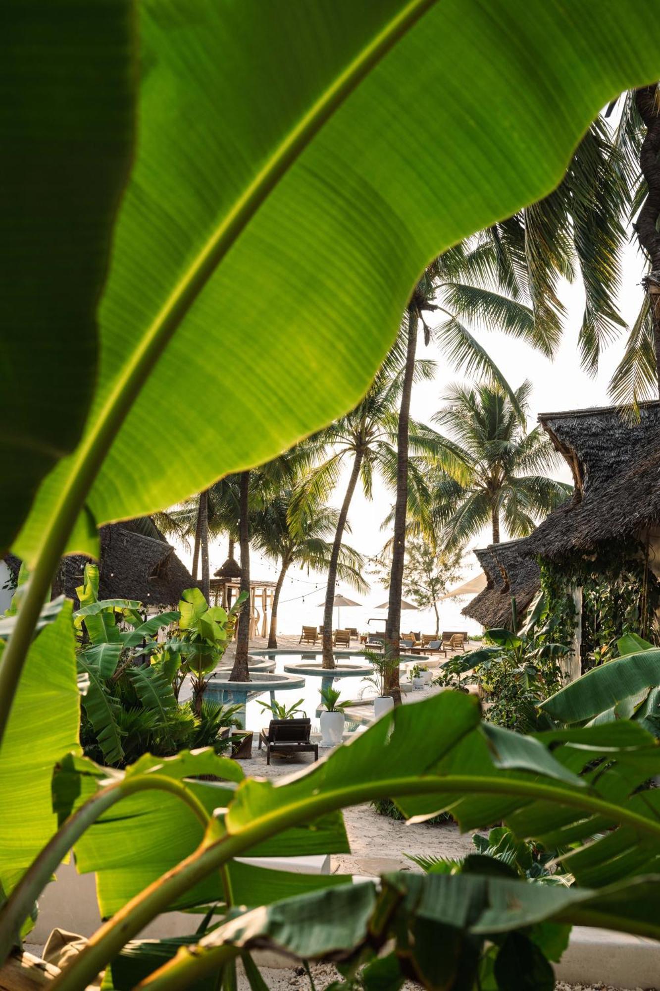 Mala Boutique Hotel Bwejuu Ngoại thất bức ảnh